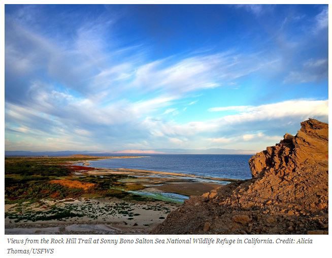 7. Sonny Bono Salton Sea National Wildlife Refuge: Rock Hill Trail